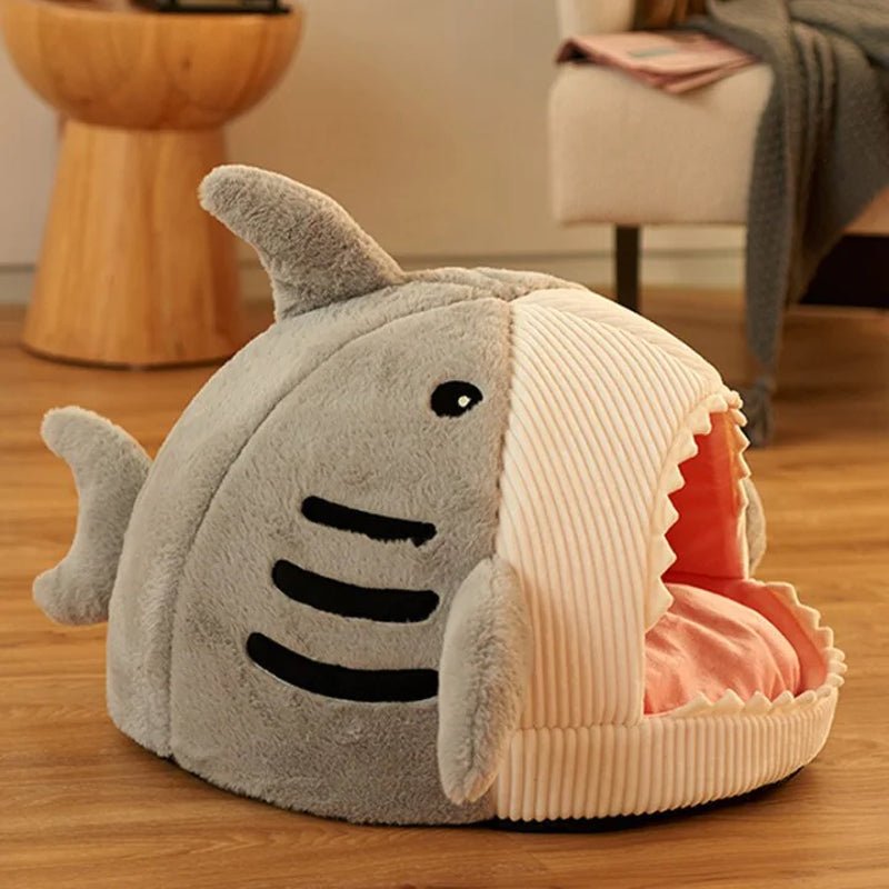 univers compagnon